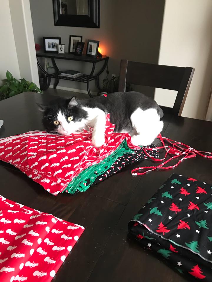 Dapper Dog Mobile Pet Grooming