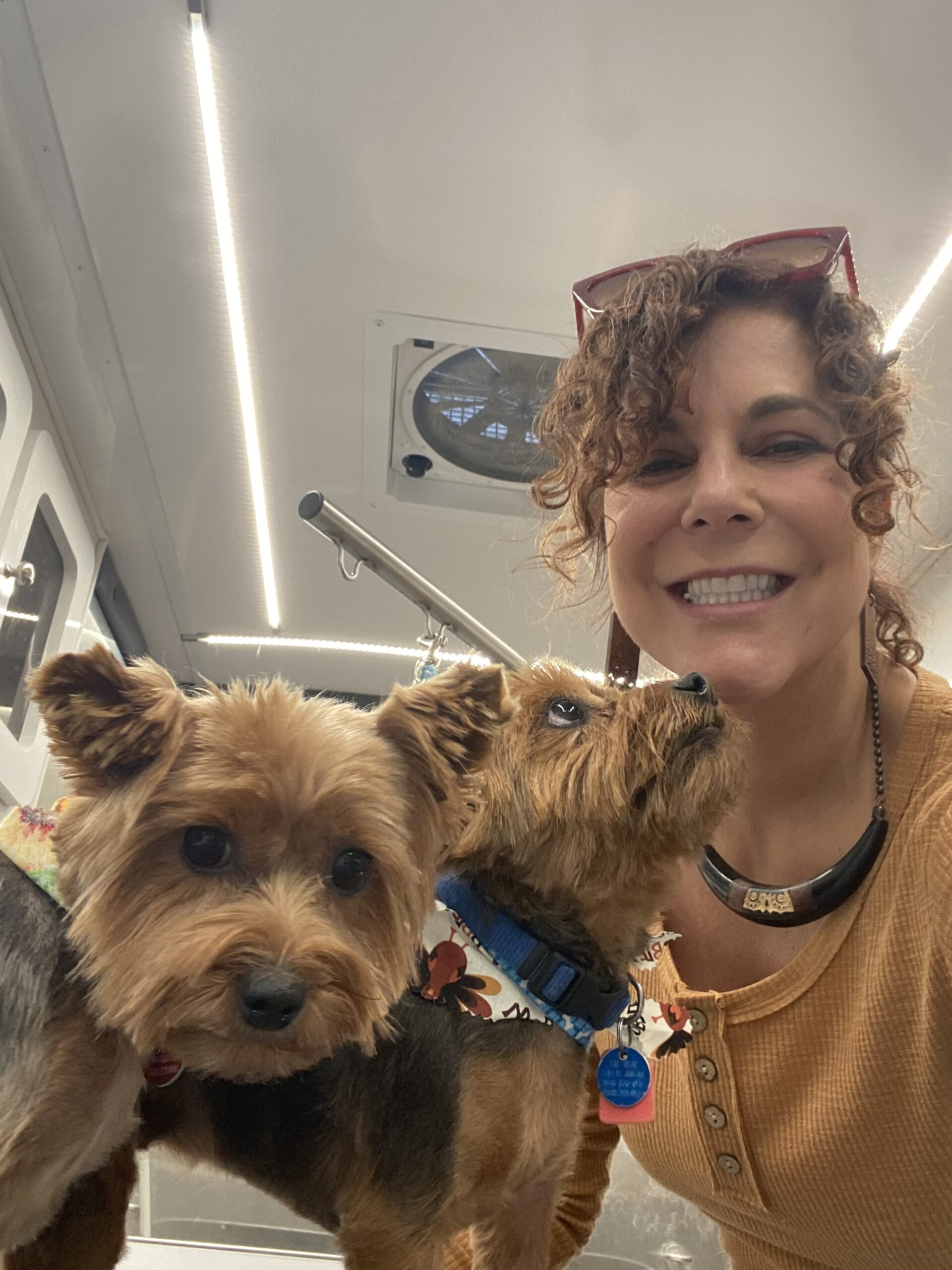 DAWGMA Mobile Dog Grooming