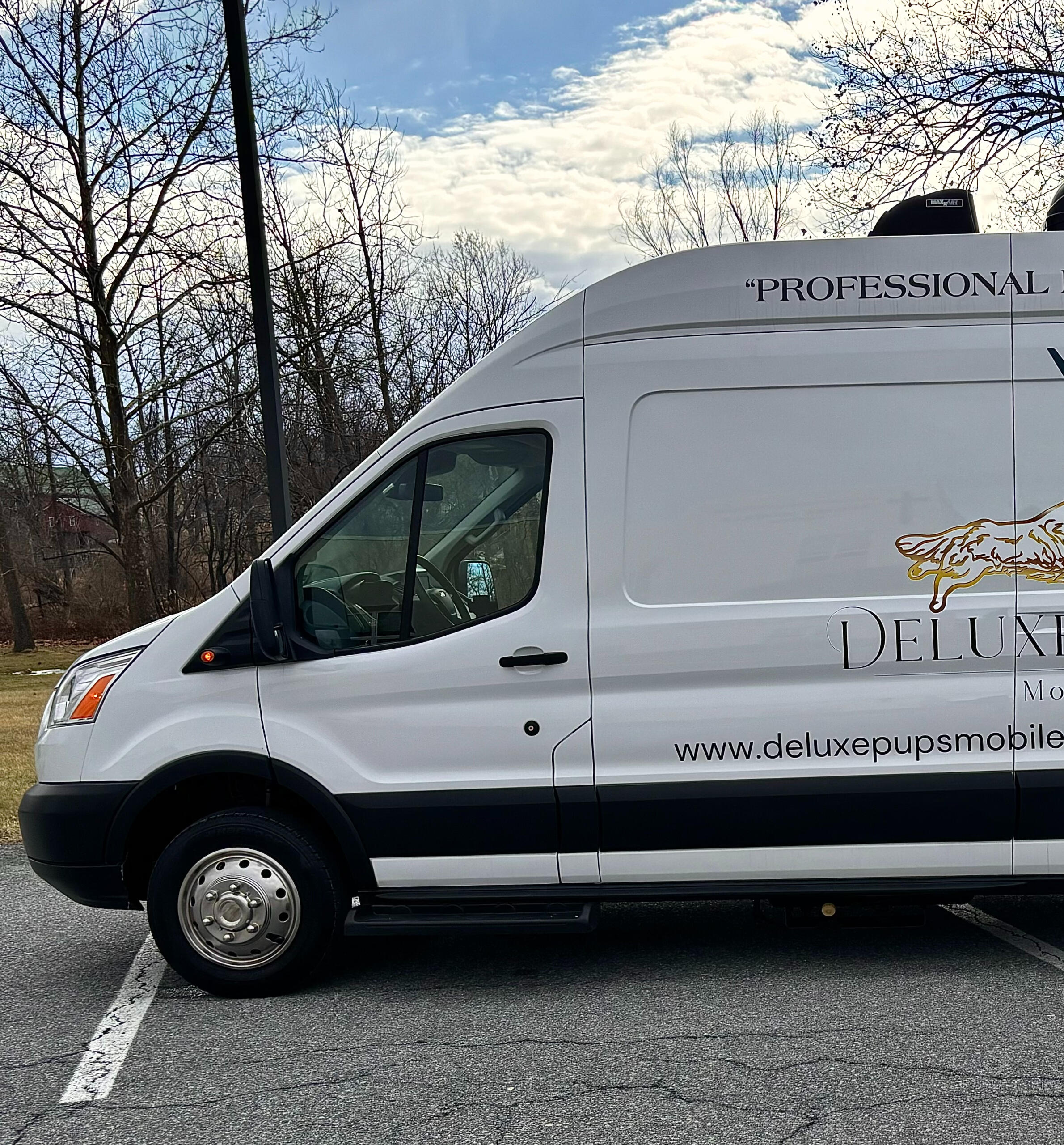 Deluxe Pups Mobile Pet Salon main service image