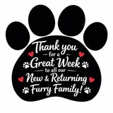 Additional grooming photo from DFW Mobile Pet Spa LLC