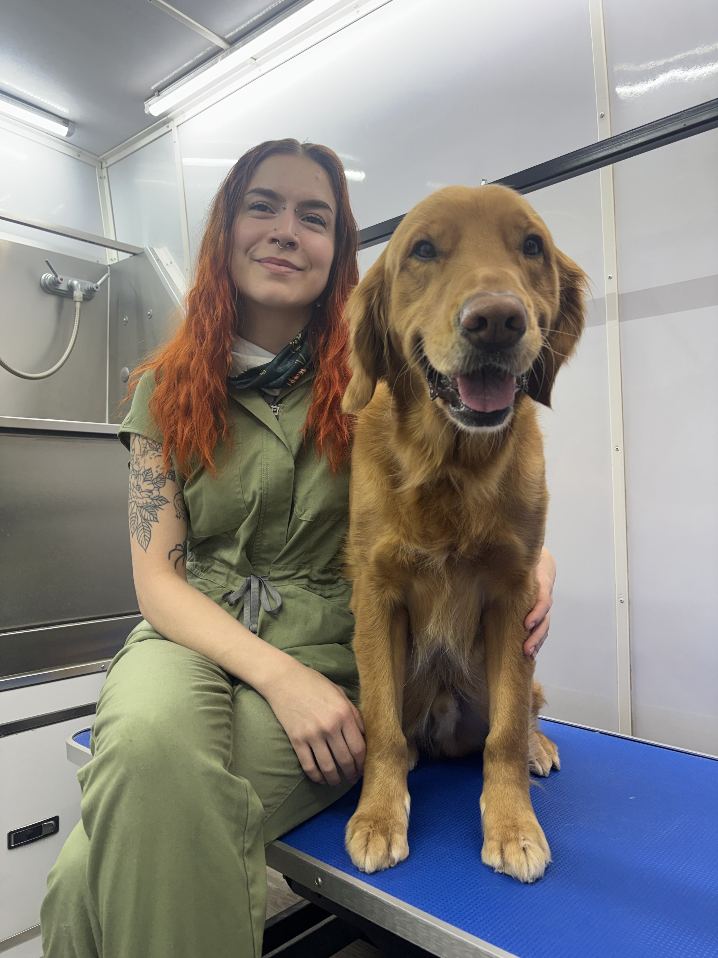 Another groomed dog featured by Dirty Critters Mobile Dog Grooming