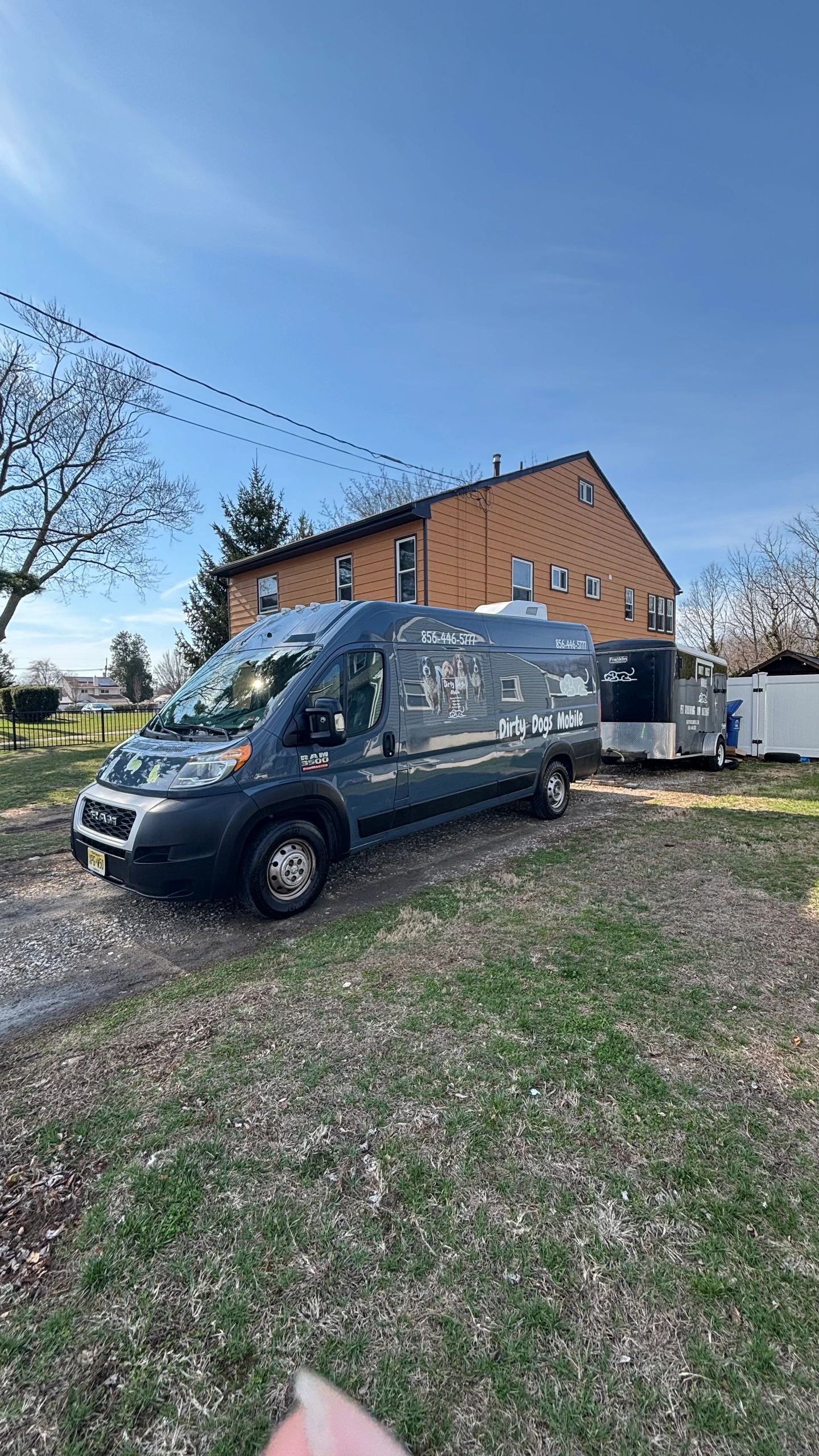 Freshly groomed dog from Dirty Dogs Mobile gallery