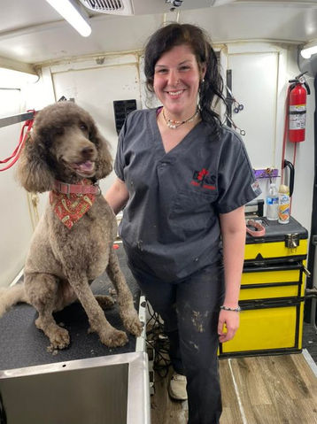 Freshly groomed dog shown by DKS Mobile Grooming