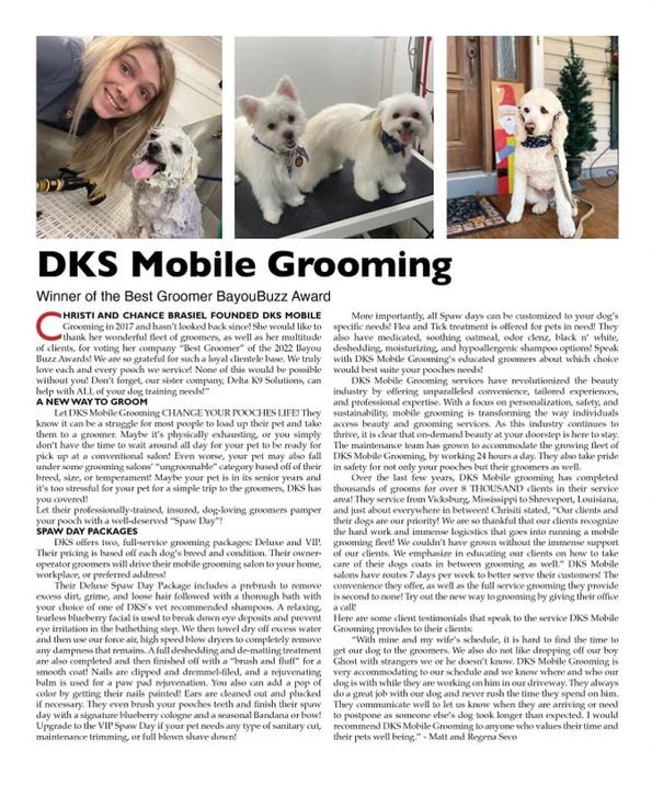 Styled dog after haircut from DKS Mobile Grooming