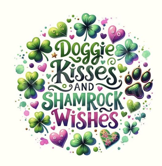 Dog Gone Clean social post image