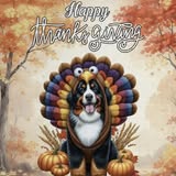 Dog Gone Clean grooming photo