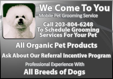 Dog Gone Clean Mobile Pet Salon customer dog after grooming