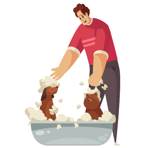 Illustration representing mobile grooming service
