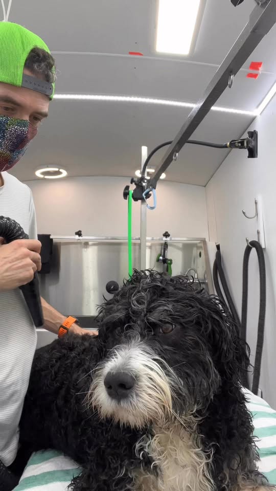 Dog On The Run Grooming