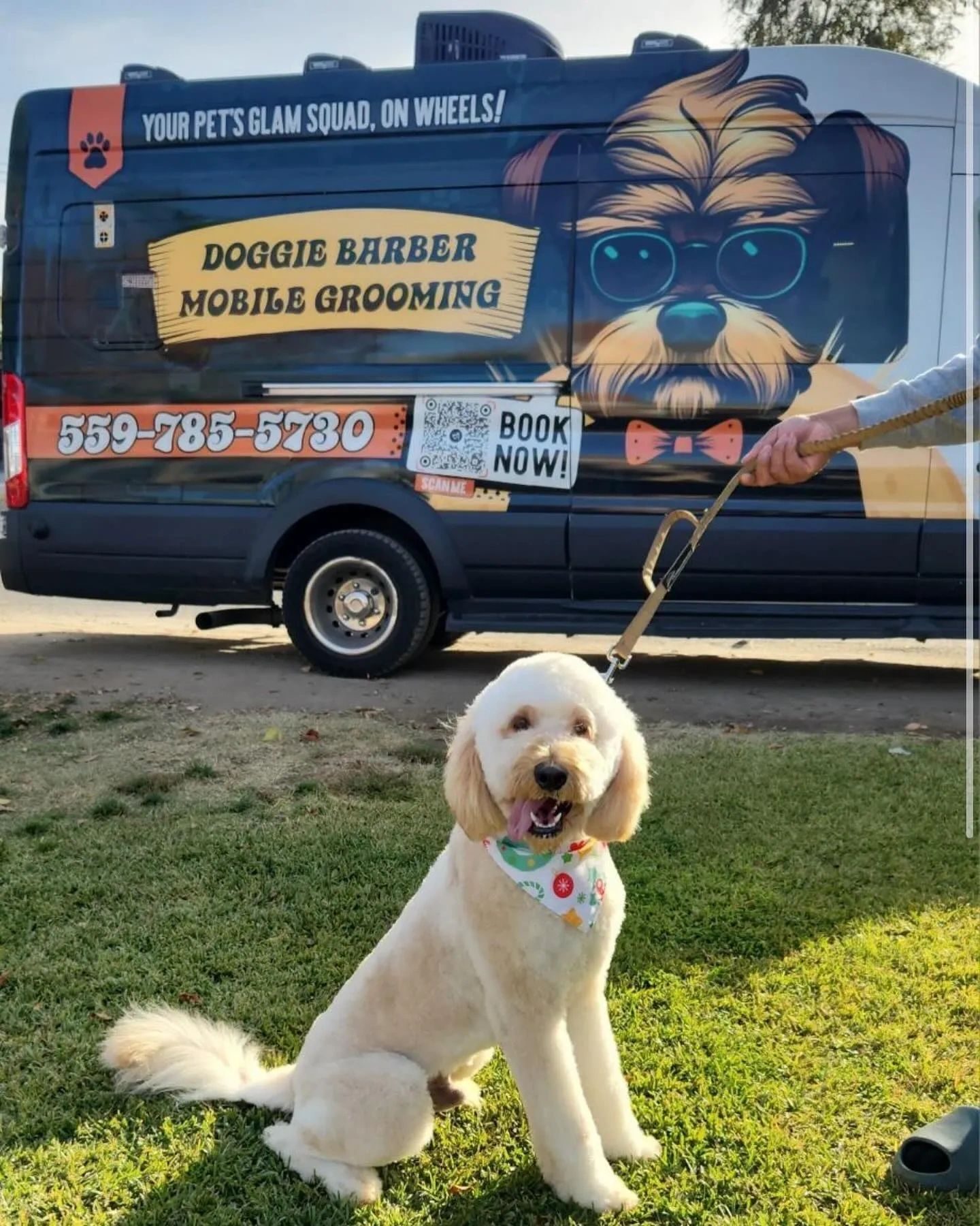 Doggie Barber Mobile Grooming convenience image