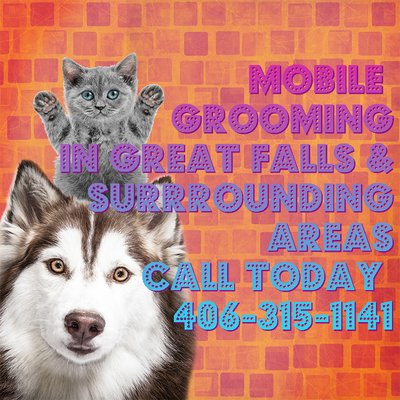 Doggie Style Mobile Grooming Salon grooming photo