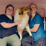 Doggo Mobile groomed pet photo