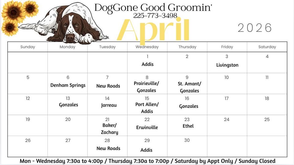 DogGone Good Groomin’ Mobile Services