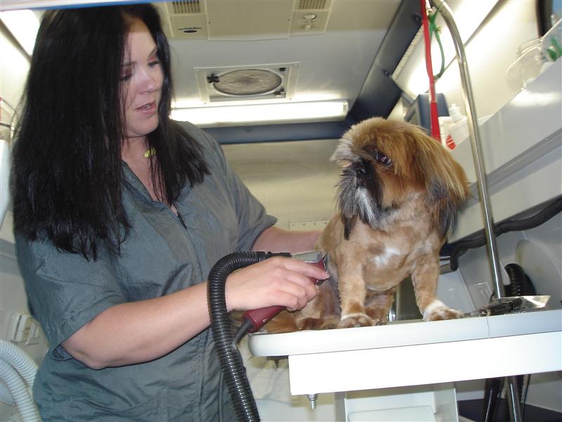 DogWorks groomer posing with a dog