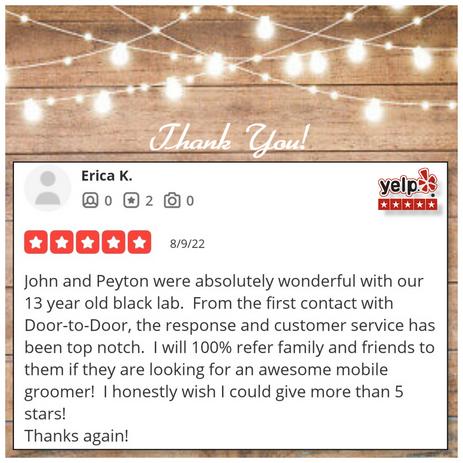 Door-to-Door Dog Grooming care image