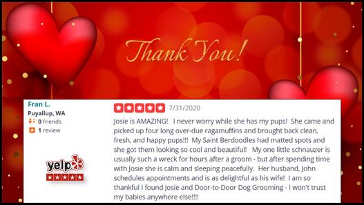Door-to-Door Dog Grooming featured website image
