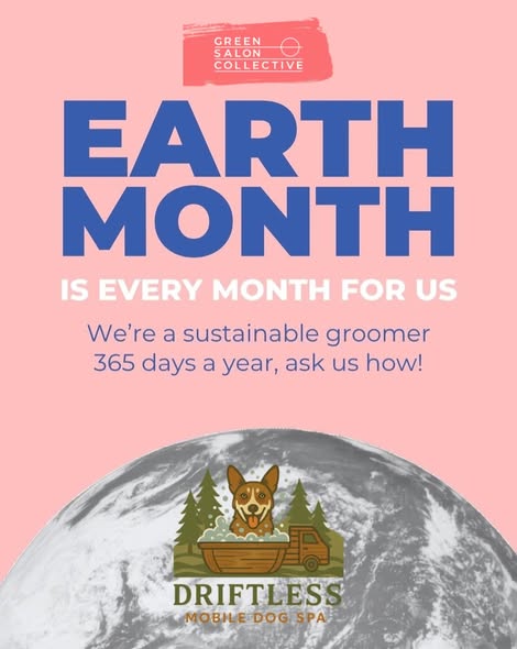 Dog after grooming from Driftless Mobile Dog Spa