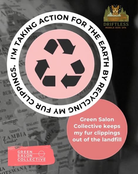 Another recent Driftless Mobile Dog Spa groom