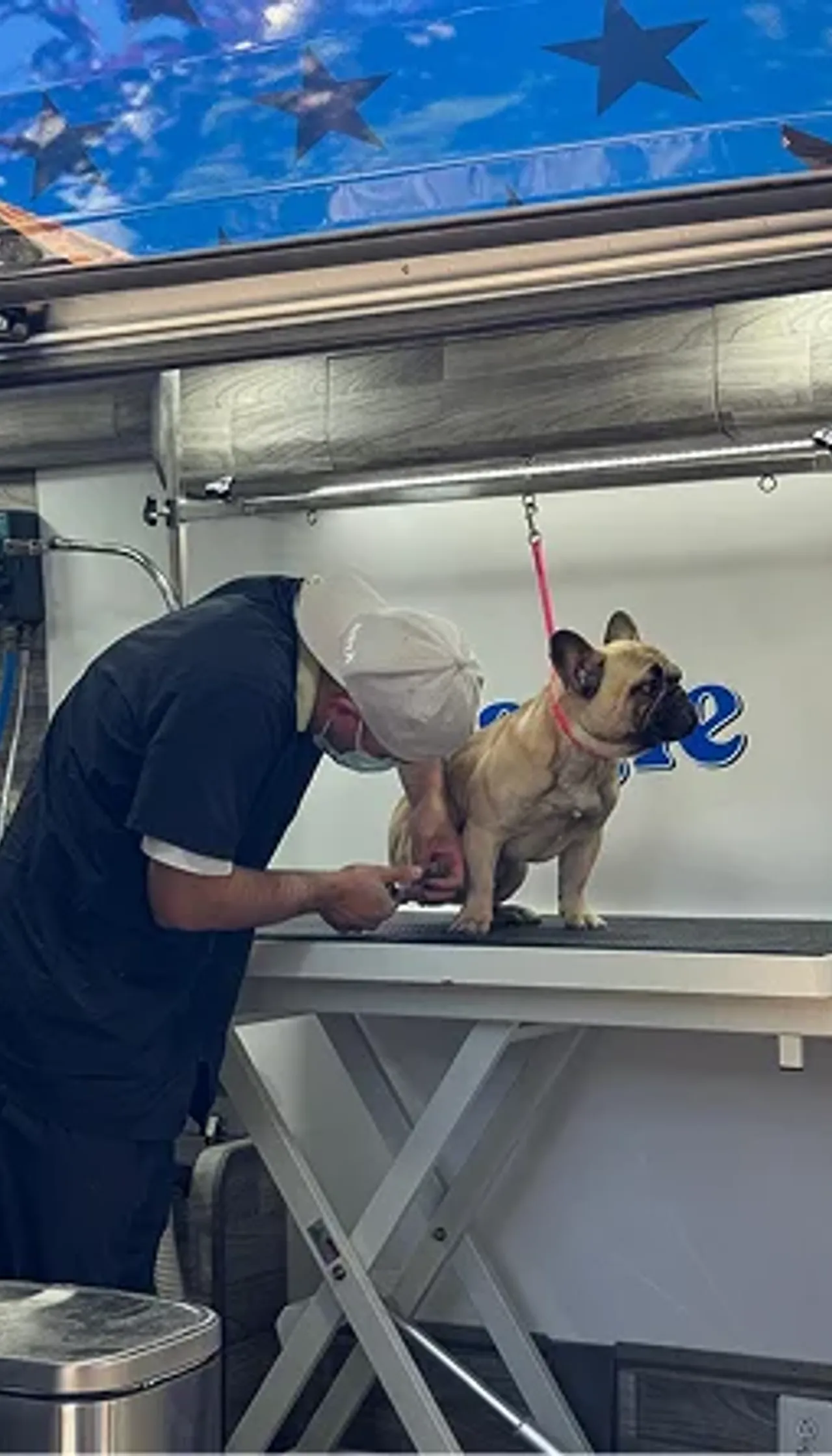 Eagle Pet Grooming gallery image 2