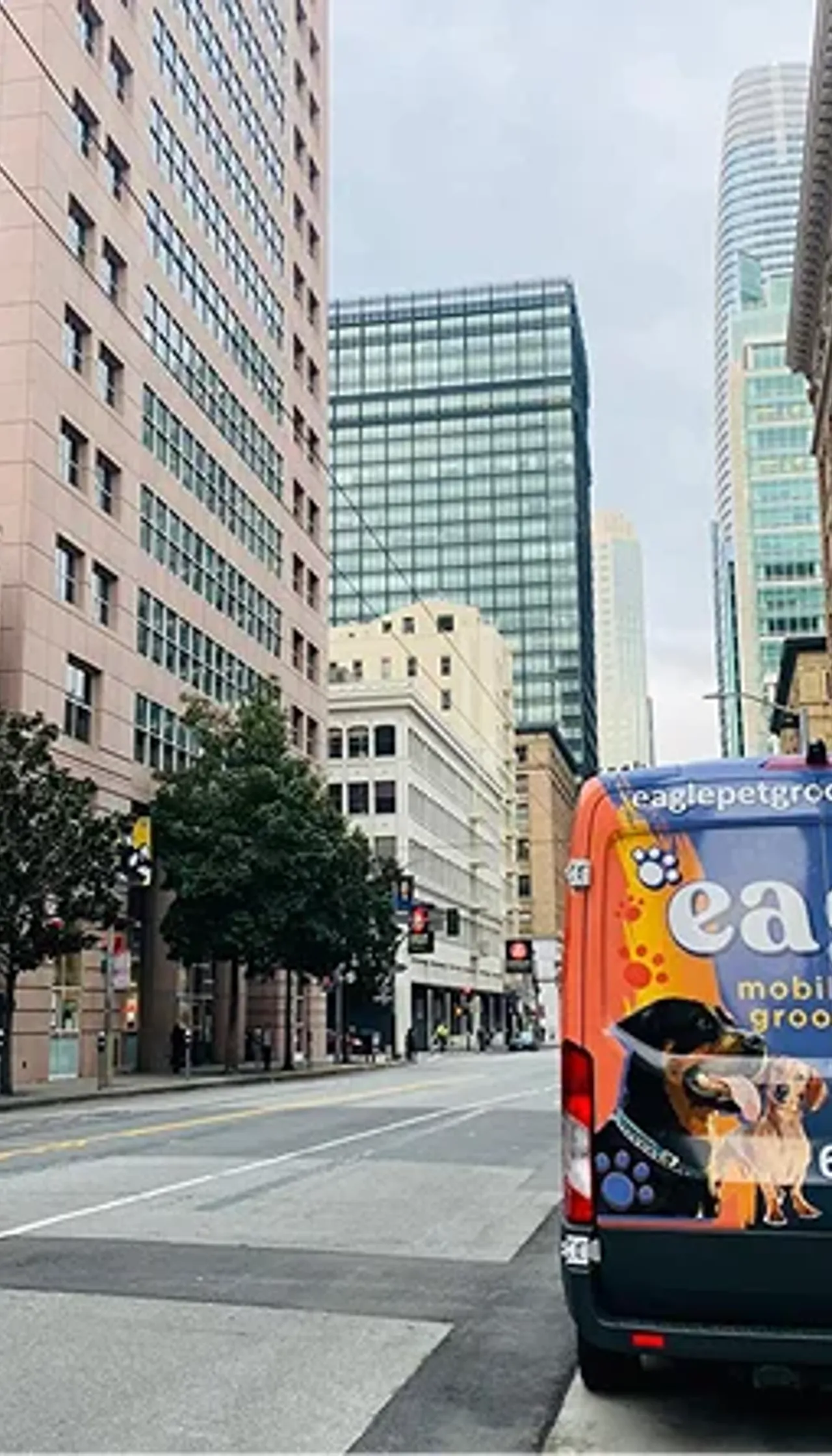 Eagle Pet Grooming gallery image 3