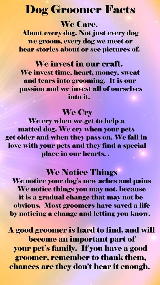 Elite Doggy Spa Mobile Pet Grooming