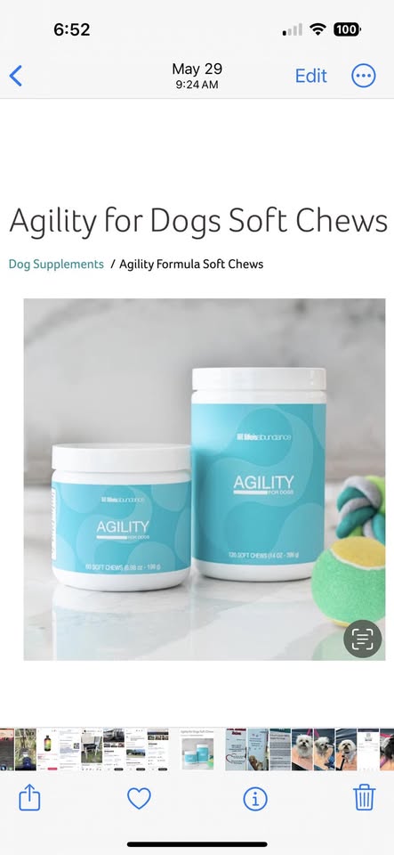 Elite Mobile Pet Salon pet grooming photo from Facebook