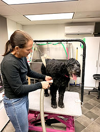 Jacki Zook with a dog