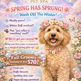 Groomed pet photo from Fairy Tails Pet Spa