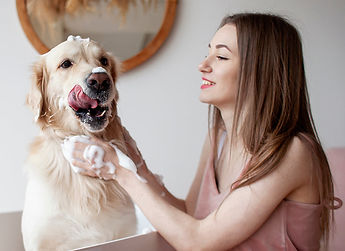 Fancy Paws groom result image