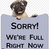 Groomed pet photo from Fetch & Fluff