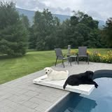 Additional grooming image from Fetch & Fluff