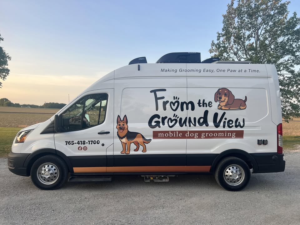 From the Ground View