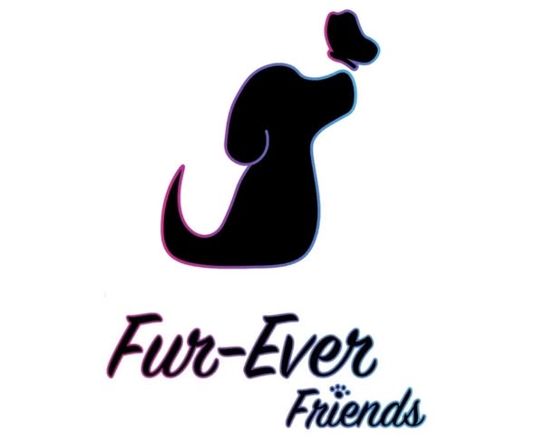 Styled dog from Fur-Ever Friends Mobile Grooming