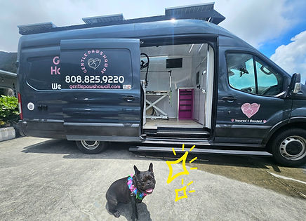Gentle Paws Hawaii mobile grooming setup