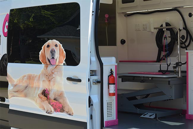 Interior grooming setup inside the Groom N Dogs van