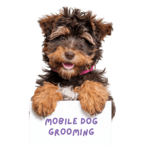 Dog grooming service image from GROOMBAR Chicago