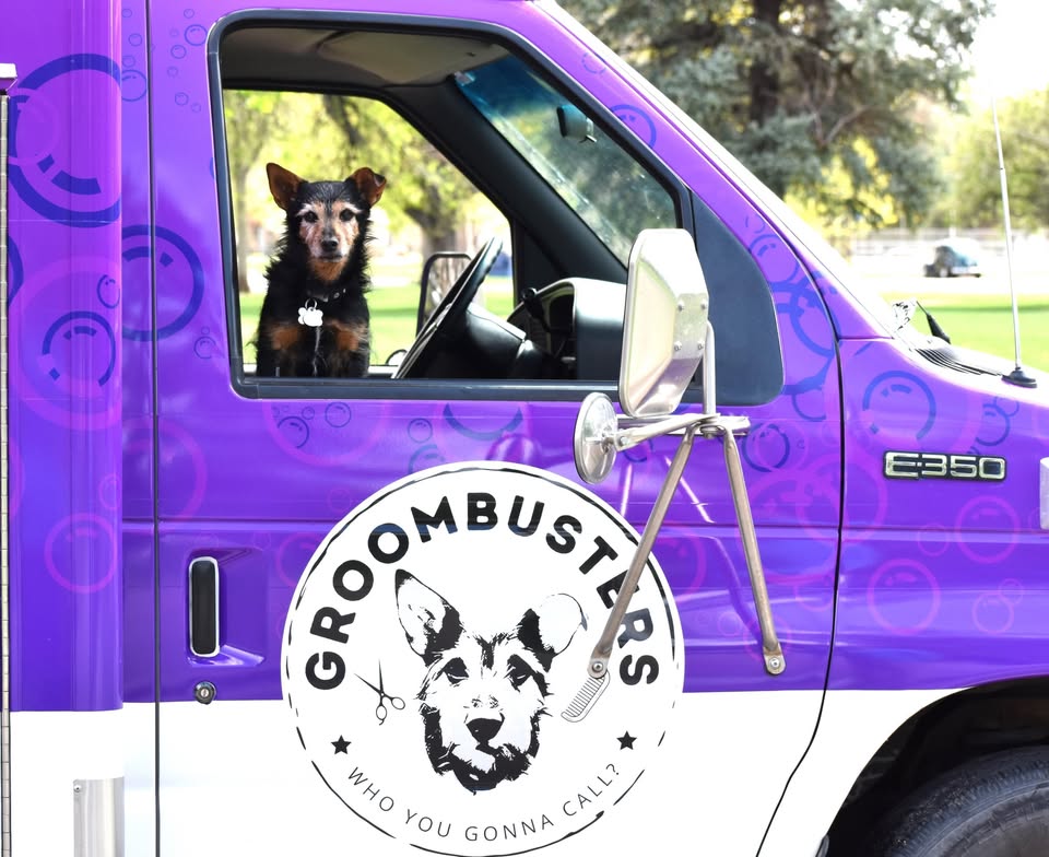 Groombusters Mobile Grooming official Facebook profile image