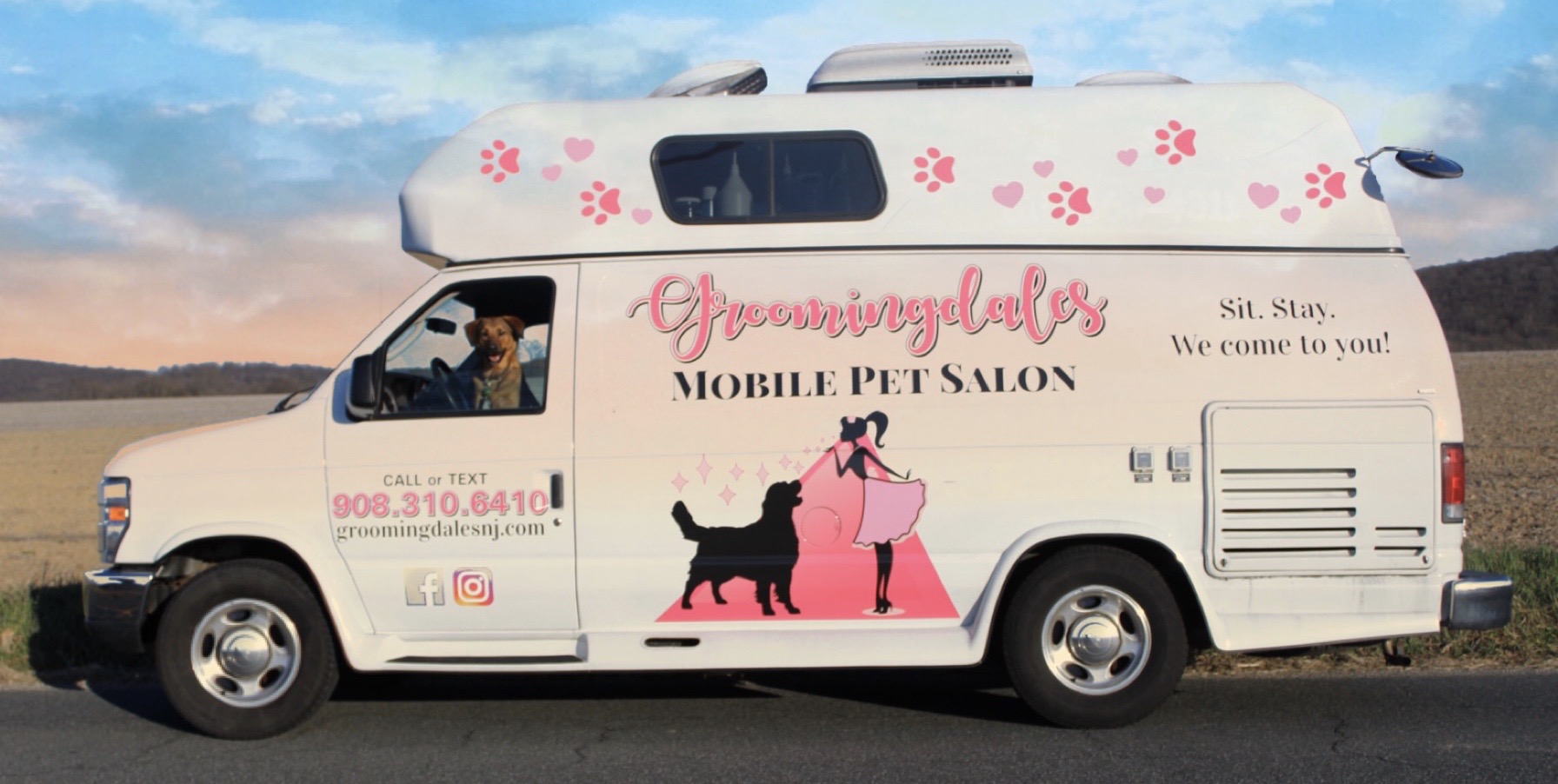 Groomingdale's Mobile Pet Salon van and branding image