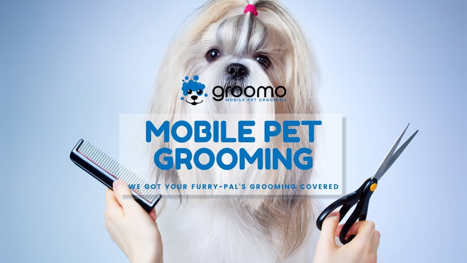 GROOMO branding image from the official Facebook page