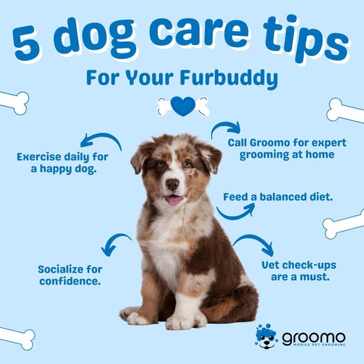 Recent GROOMO social post image