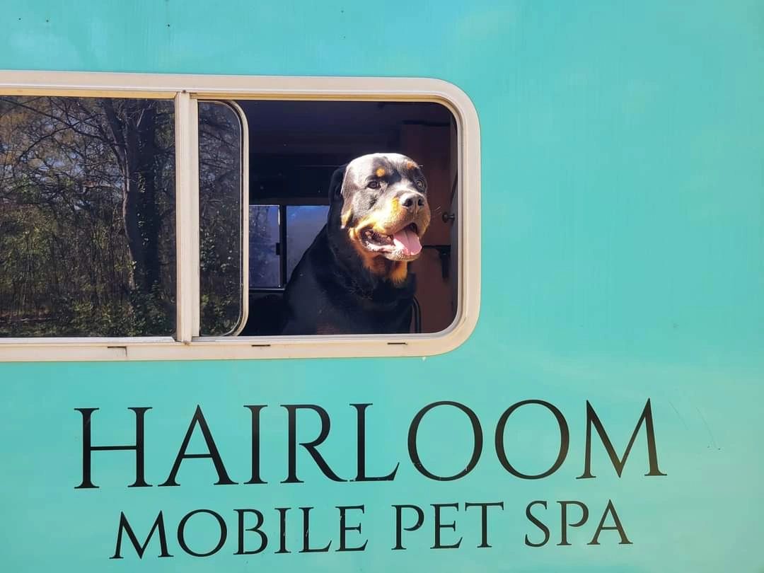 Hairloom Mobile Pet Spa