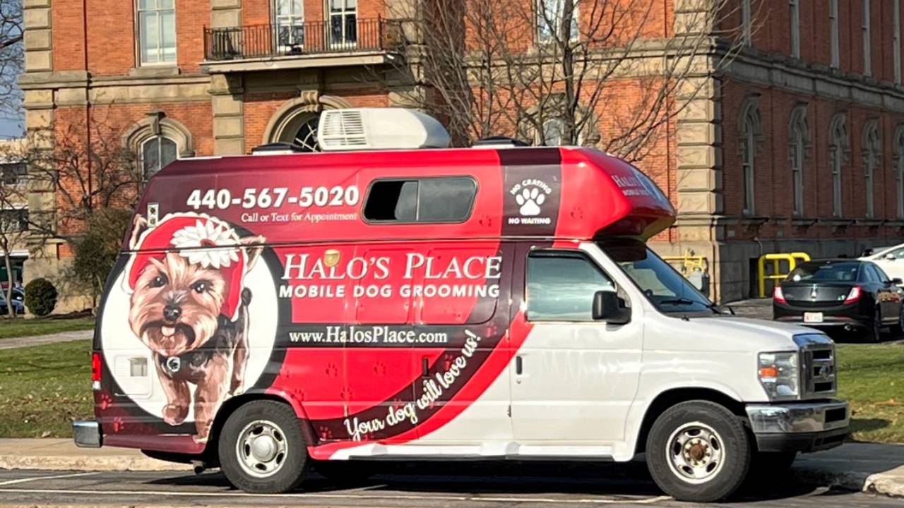 Interior of Halo's Place mobile grooming salon