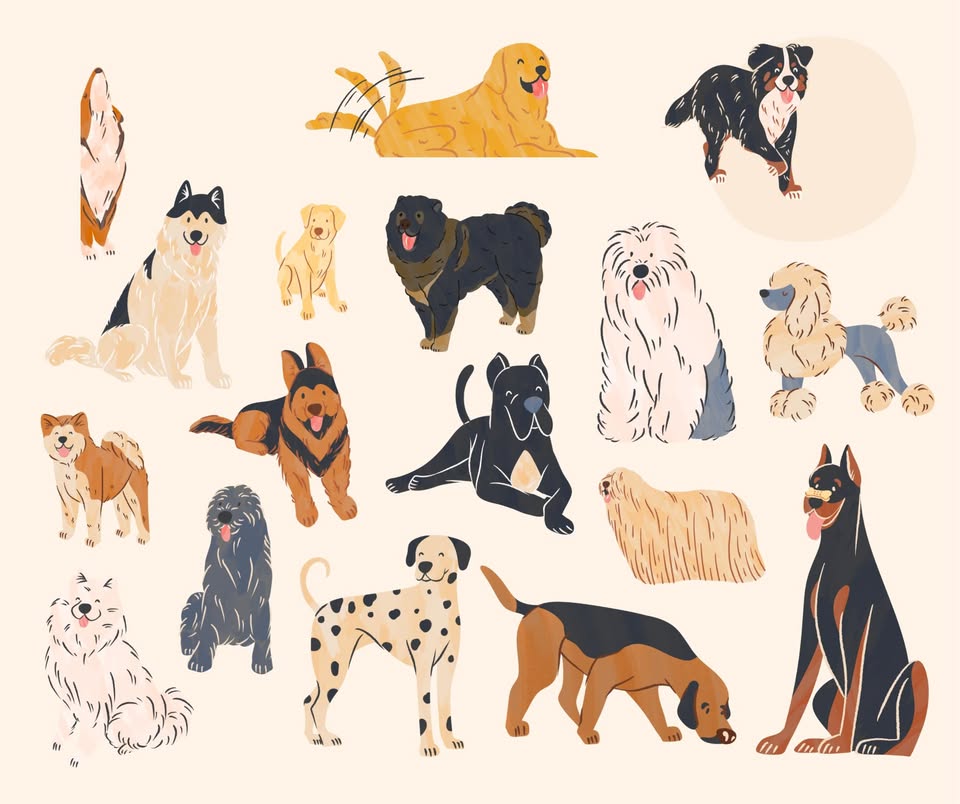 Happy Hounds Mobile Grooming