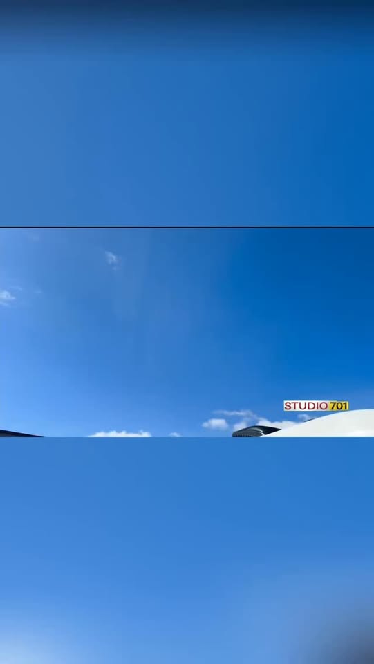 Happy Tails Mobile Grooming recent post image