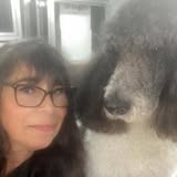 Dog grooming photo from Holly's Pooch Pawlor