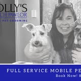 Additional grooming result from Holly's Pooch Pawlor