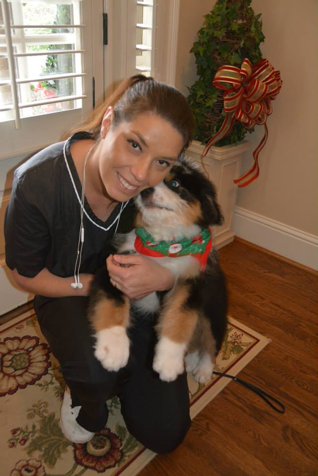 Groomed dog featured by Jolly Paws Mobile Pet Grooming