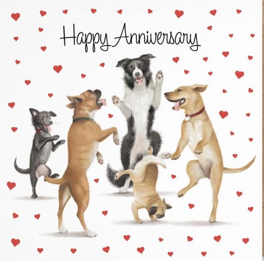 10th anniversary graphic for Just 4 Petz Mobile Grooming.