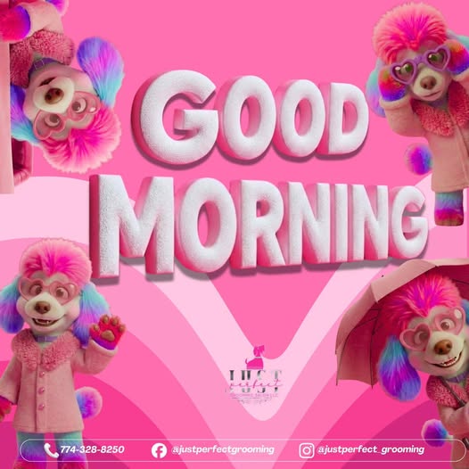 Recent promotional image from Just Perfect Grooming Salon LLC