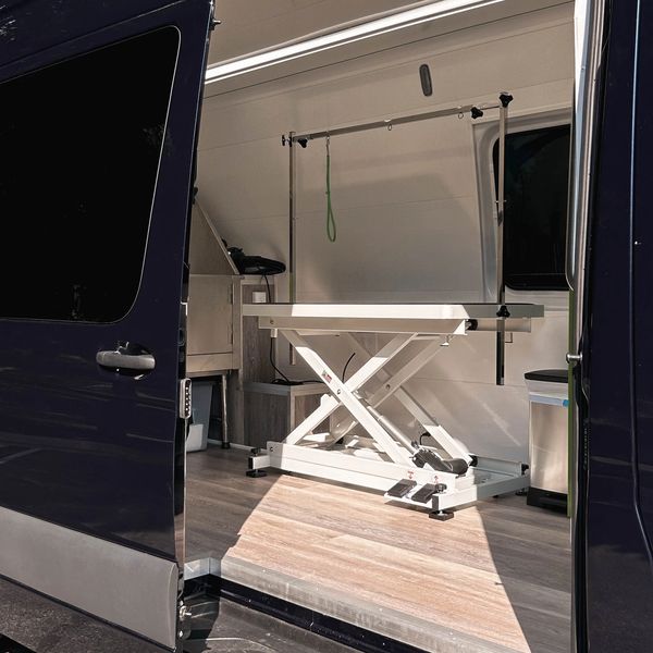 Dog shown on Kate's Gentle Groomhouse official website